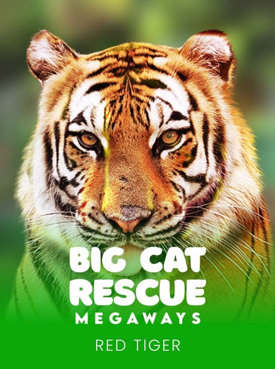 Big Cat Rescue Megaways