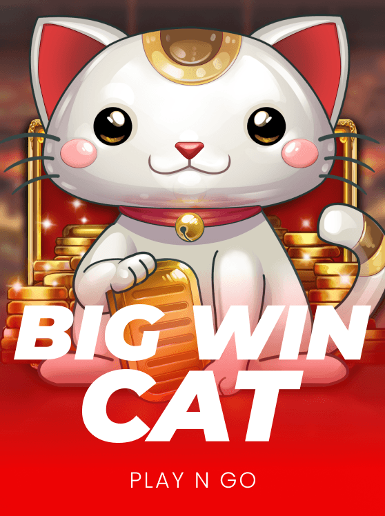 Big Win Cat