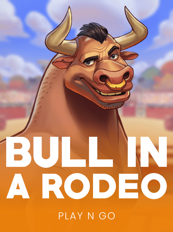Bull in a Rodeo