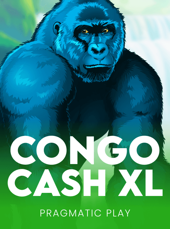Congo Cash XL