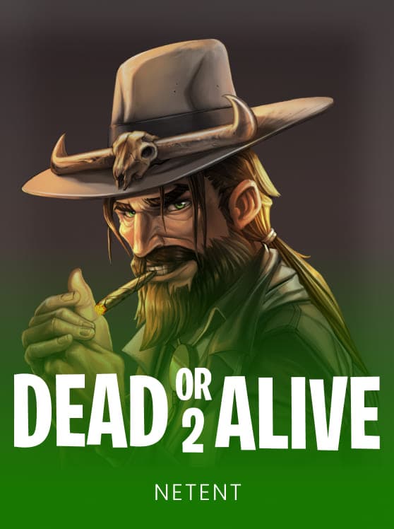 Dead or Alive 2