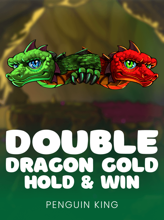 Double Dragon Gold Hold and Win
