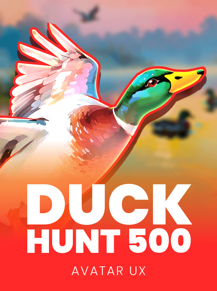 Duck Hunt 500