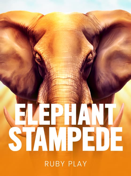 Elephant Stampede