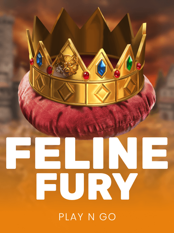 Feline Fury