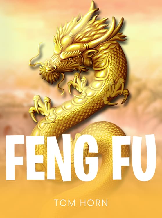 Feng Fu