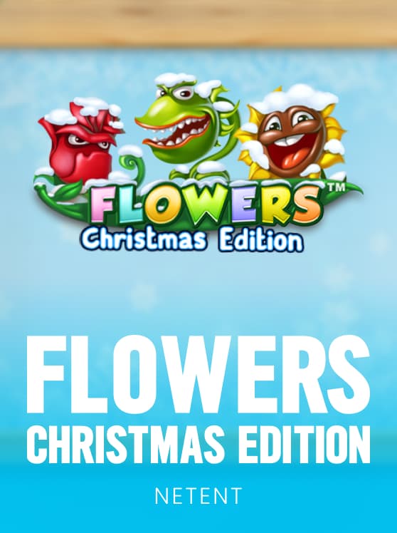 Flowers Christmas Edition