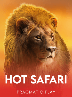 Hot Safari