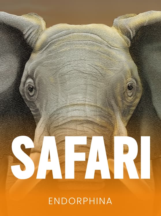 Safari