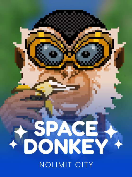 Space Donkey