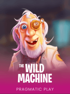 The Wild Machine