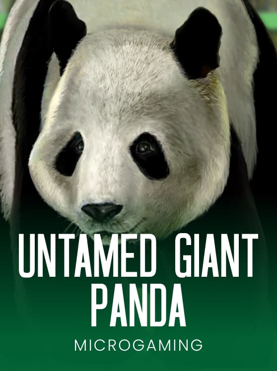 Untamed - Giant Panda