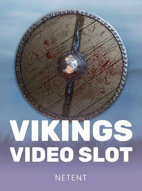 Vikings Video Slot