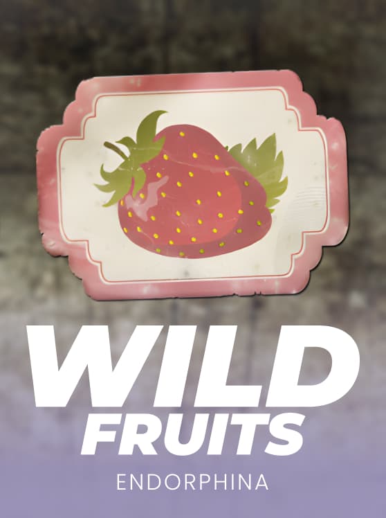 Wild Fruits