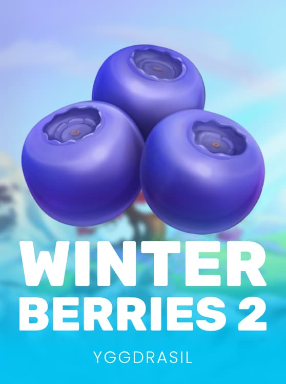 Winterberries 2
