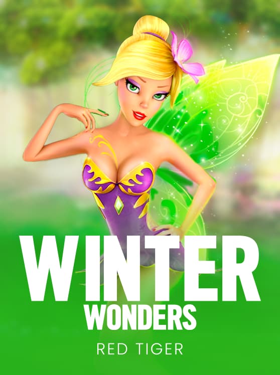 Winter Wonders