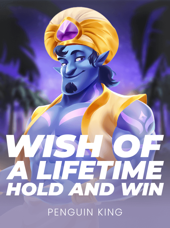 Wish of a Lifetime Hold and Win